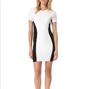 Torn by Ronny Kono Shiran Short Fitted Dress